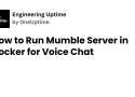 How to Run Mumble Server in Docker for Voice Chat